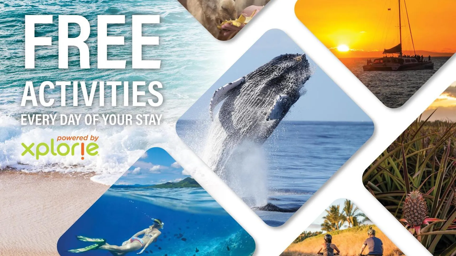 Prázdninový dům Vila Kaanapali Plantation 34 Kahana USA